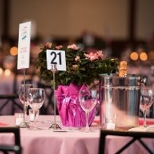 SHARE-A SECOND HELPING OF LIFE on 9/23 at Chelsea Piers Benefits Women Facing Ovarian