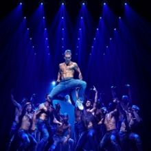 MAGIC MIKE LIVE Comes to Brisbane