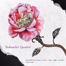 STRANGE MACHINES Album to Arrive via Phenotypic Recordings