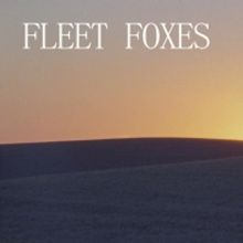 VIDEO: Fleet Foxes Release Video for 'Can I Believe You'