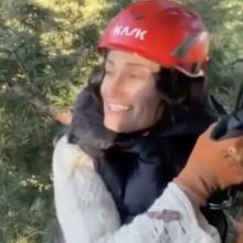 Video: Idina Menzel Performs From REDWOOD Atop a Real Redwood Tree