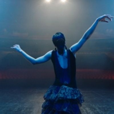 BWW Feature: ONLINE VIRTUAL OPERA TOUR at Home Computer Screens