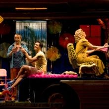 PRISCILLA LA REGINA DEL DESERTO torna a Milano! 10 motivi per andare a vederlo