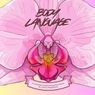 BODY LANGUAGE Tickets on Sale for Jenny Napolitano's Solo Show