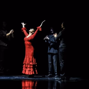Omayra Amaya Flamenco Dance Company Will Perform ANTES DEL FIN