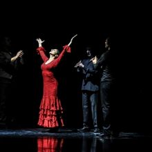 Omayra Amaya Flamenco Dance Company Will Perform ANTES DEL FIN