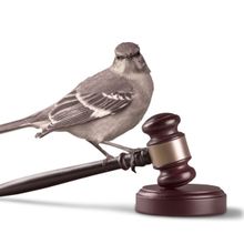 TO KILL A MOCKINGBIRD Will Play at Cone Man Running Productions This July