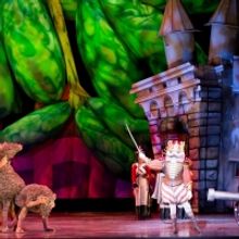 Holiday Magic Is on With Ballet Arizona's Digital NUTRACKER SUITE