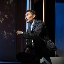 How Common Are Autobiographical Plays and Musicals?