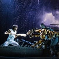 LIFE OF PI Wins First-Ever PETA 'Pony Award' For Animal-Friendly Theater Productions