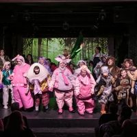 SHREK THE MUSICAL Announced At Florida Academy Of Performing Arts