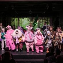 SHREK THE MUSICAL Announced At Florida Academy Of Performing Arts