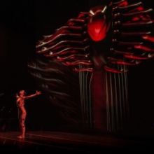 BWW Review: SLEEPING BEAUTY DREAMS KICKS OFF ITS TOUR IN NYC at Manhattan Center