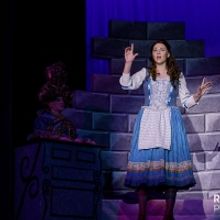 BWW Review: BEAUTY AND THE BEAST at Gooseberry Park PLayers