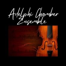 The Adelphi Chamber Ensemble to Present November Concert Series