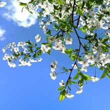 Student Blog: 8 Musical Theatre Songs That GIVE Spring Vibes