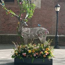 Unique Floral Experience Announced At Harlem Sculpture Gardens