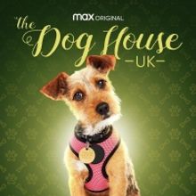 VIDEO: HBO Max Debuts THE DOG HOUSE: UK Trailer