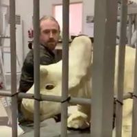 VIDEO: Get a First Look at a Baby Dino Animatronic From JURASSIC WORLD 3
