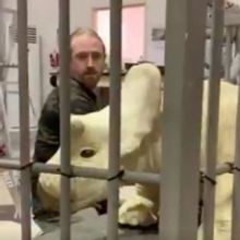 VIDEO: Get a First Look at a Baby Dino Animatronic From JURASSIC WORLD 3