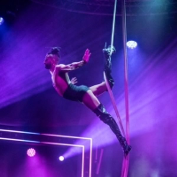 Cast Announced For Underbelly's LA CLIQUE at The Edinburgh Festival Fringe Photo