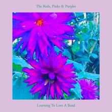 The Reds, Pinks & Purples Shares New Single 'Learning To Love A Band'