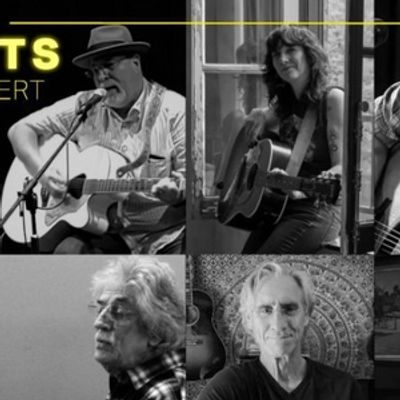 SINGER/SONGWRITER SHOWCASE Will Come to The Middletown Arts Center  in August