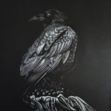 Bailey Contemporary Arts Presents BLACK & WHITE AND GRAY ALL OVER