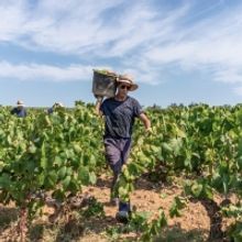 CAVA Undergoes Some Important Changes