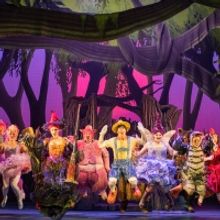 BWW Review: SHREK the Musical at QPAC