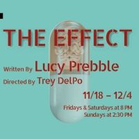 Generic Theater to Present Regional Premiere Of THE EFFECT This Month