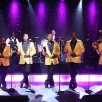 The Motowners Perform in Pompano Beach Next Month