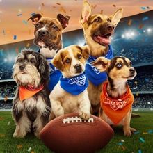 PUPPY BOWL XXII to Return on Super Bowl Sunday in February