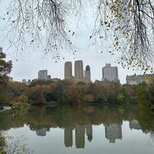 Student Blog: When Did It Become Fall?