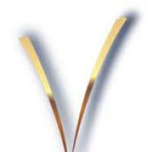 Vancouver Symphony Orchestra USA's Young Artist Concerto Competition Open Nationwide