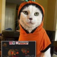 Park Theatre Holds Virtual Halloween Costume Contest