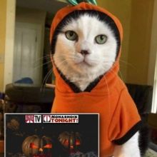 Park Theatre Holds Virtual Halloween Costume Contest