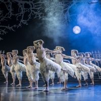 The Kennedy Center Presents MATTHEW BOURNE'S SWAN LAKE