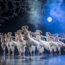 The Kennedy Center Presents MATTHEW BOURNE'S SWAN LAKE