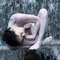 Maureen Fleming Company Presents Live DANCES FROM HOME This Month
