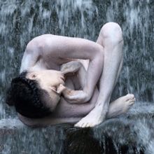 Maureen Fleming Company Presents Live DANCES FROM HOME This Month