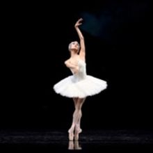 Helgi Tomasson's SWAN LAKE Closes SF Ballet's 2021 Digital Season, May 20- June 9