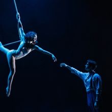 Network for Victim Recovery DC Will Host Talkback at WATER FOR ELEPHANTS