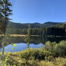 Get Ready to Celebrate Your Dads and Dad Figures with Top Gifts