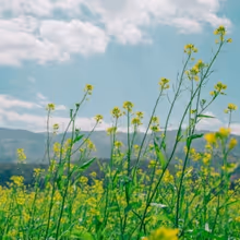 Student Blog: Taking a Breath: How I Recover from Burnout