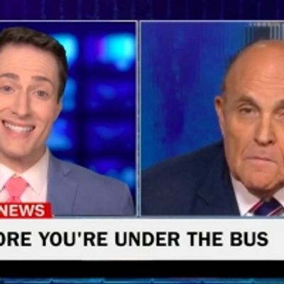 VIDEO: Randy Rainbow Takes on Giuliani in MAMMA MIA! Song Parody