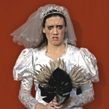 BWW Review: THE BRIDE at The Blue Room Theatre