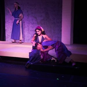 Review: PLAGUE PLAY at Valley Players