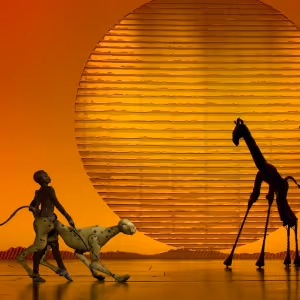 Previews: THE LION KING at Straz Center
