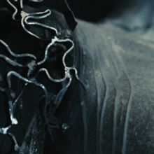 Ivy Lab Unveil 'Dogma' From 'Infinite Falling Ground'